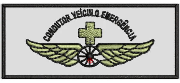 Matriz do Estágio de Motorista de Veículo de Emergência