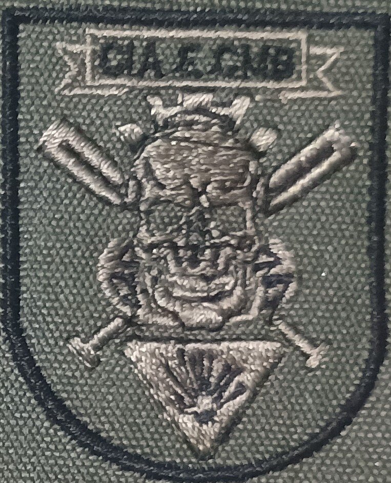 Estg de Desminagem da Cia Eng Cmb - baixa visibilidade