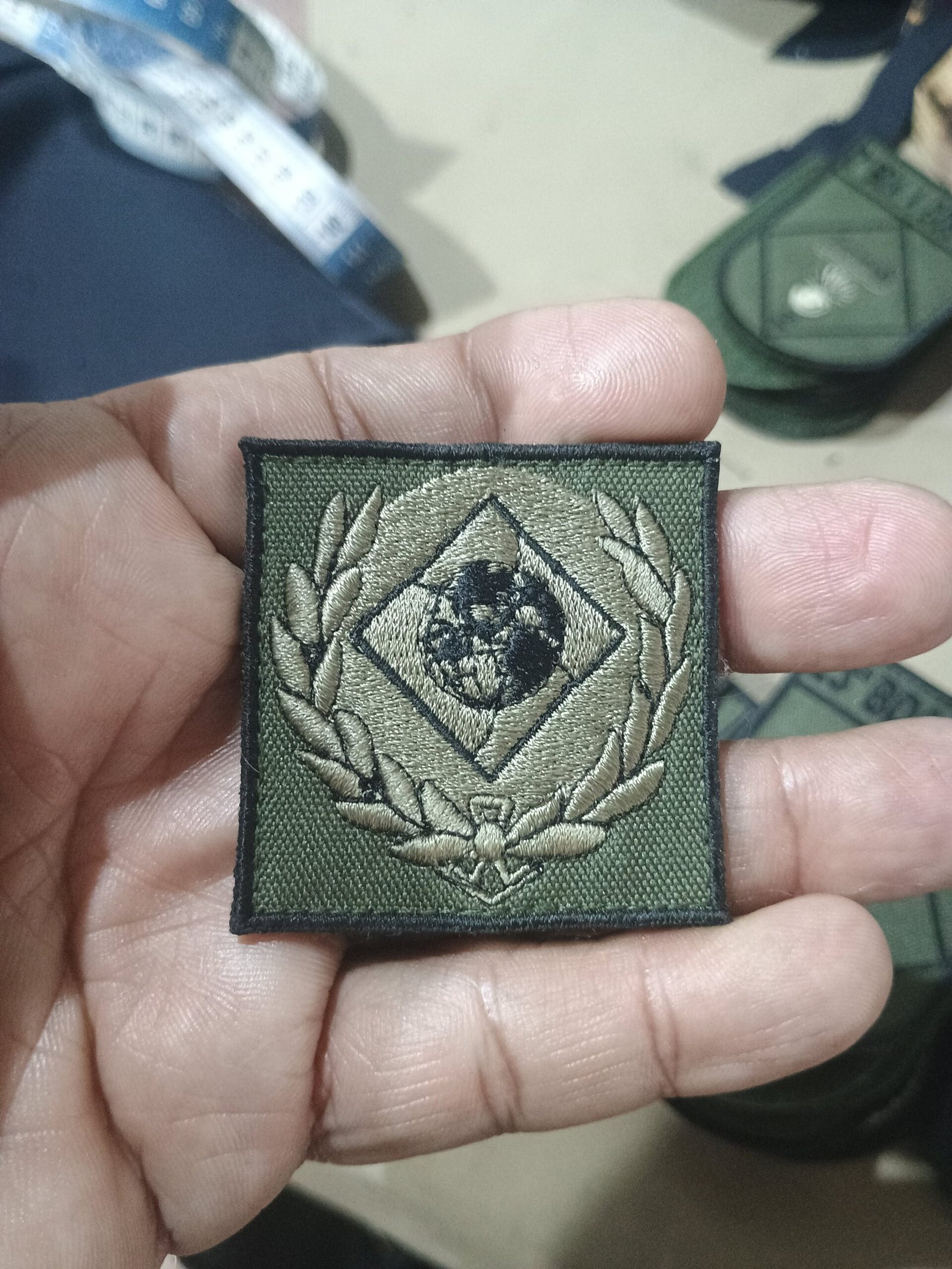 Curso Peculiar de Diplomacia e Defesa da Escola Superior de Defesa