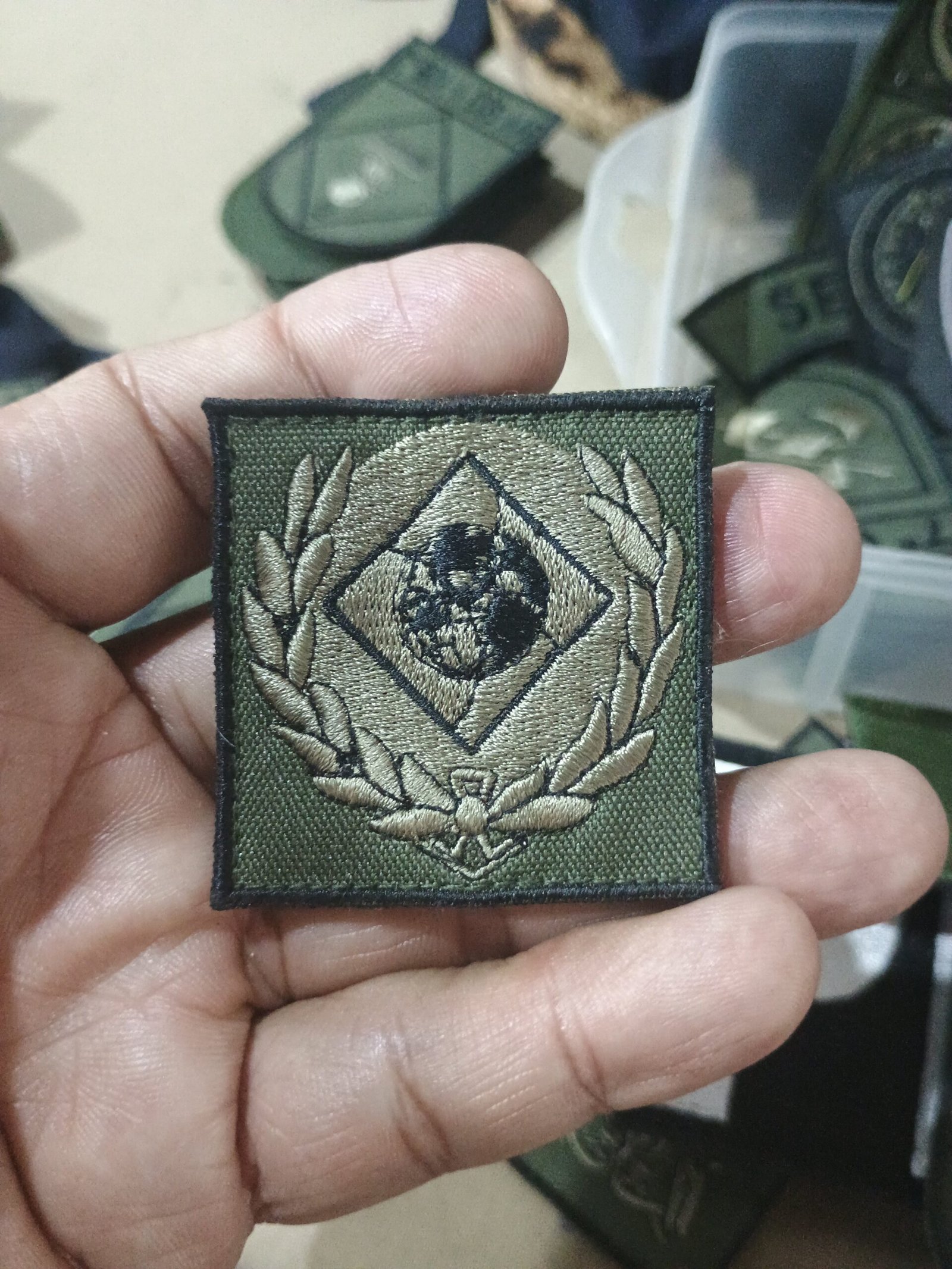 Curso Peculiar de Diplomacia e Defesa da Escola Superior de Defesa - Imagem 2